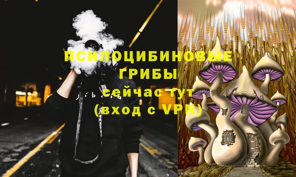 стафф Богородск
