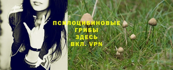 стафф Богородск