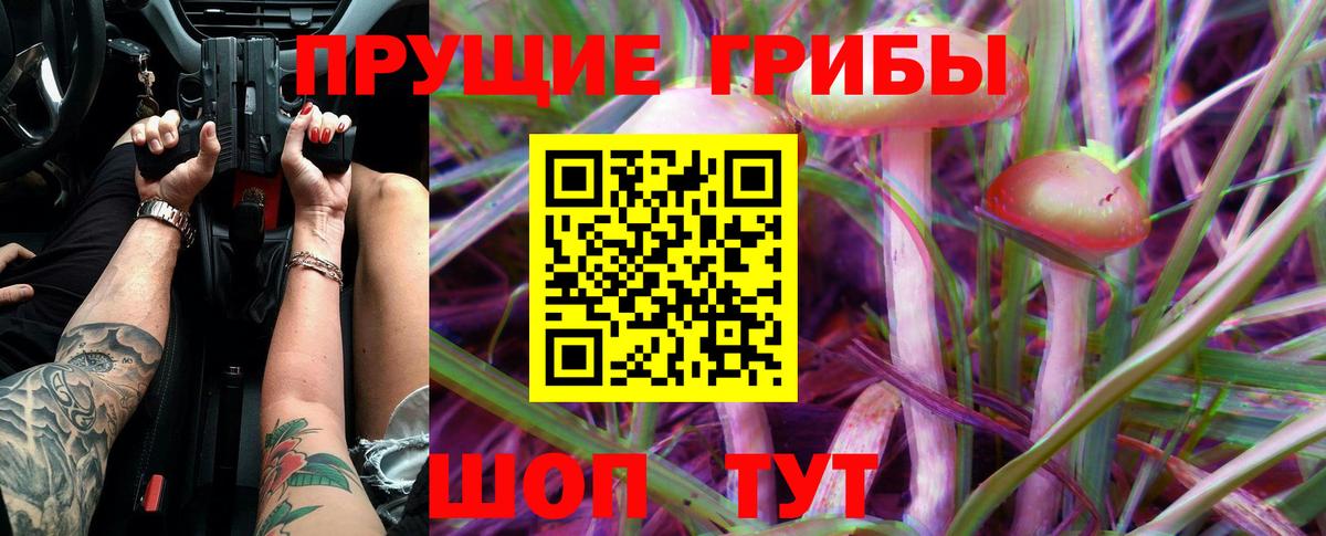 Галлюциногенные грибы GOLDEN TEACHER  Вход с VPN  Галлюциногенные грибы мухоморы  Сургут 