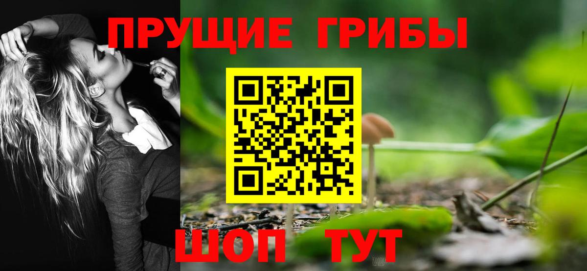 Псилоцибиновые грибы ЛСД Сургут